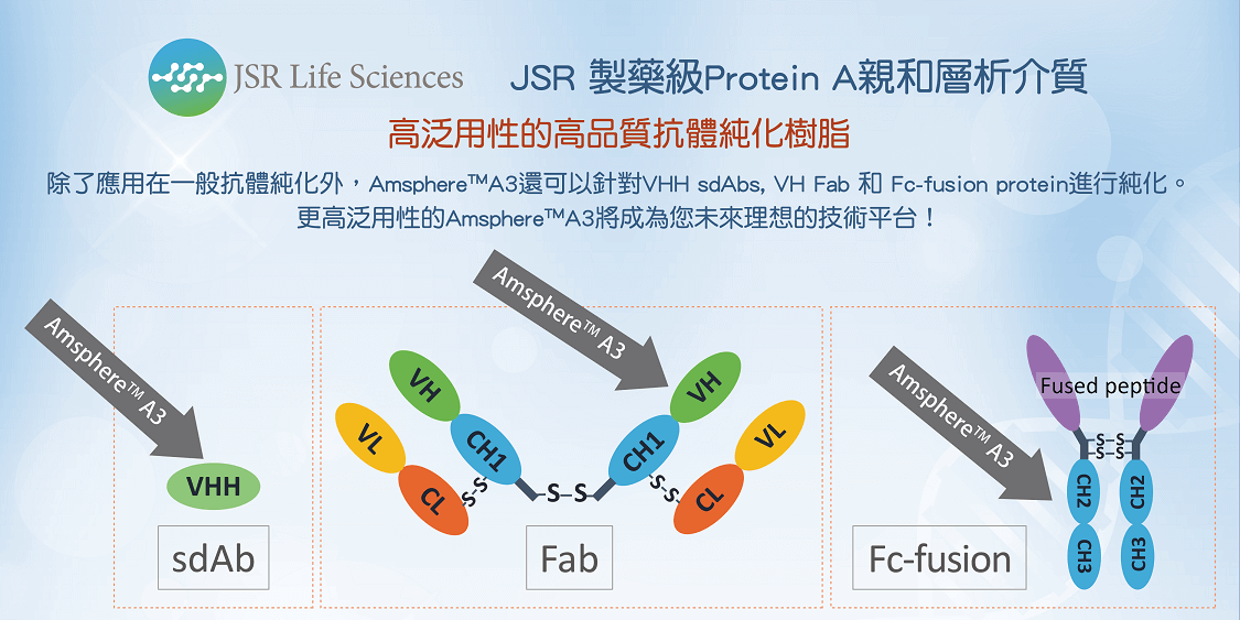 JSR Protein A