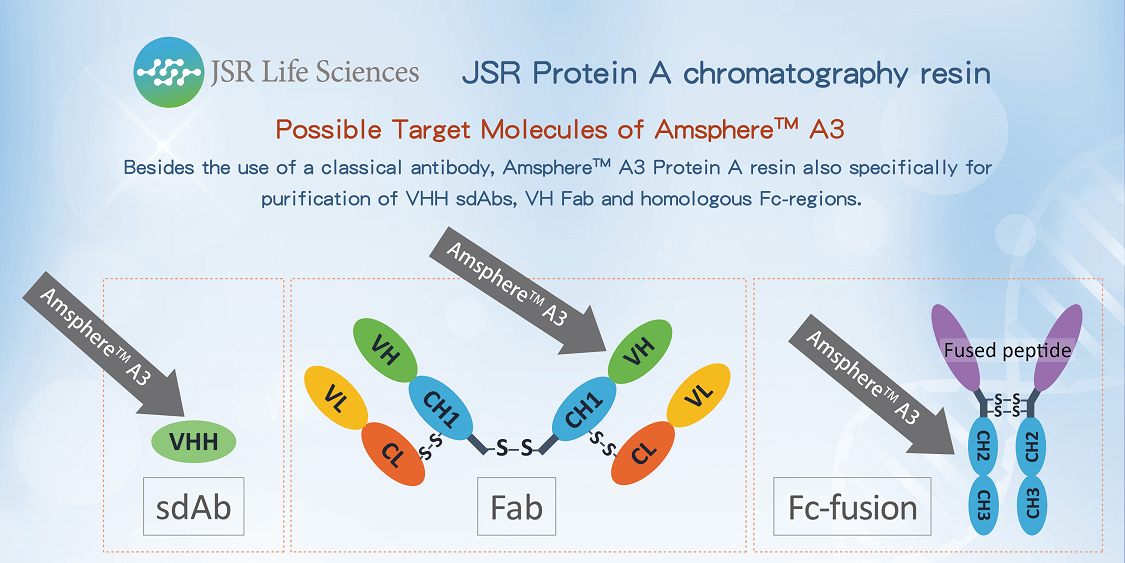 JSR Protein A