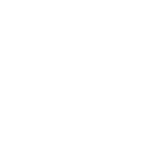 分析分選